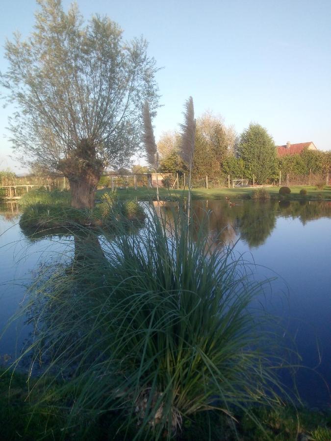 Chambre Coin Nature Fromelles Екстер'єр фото